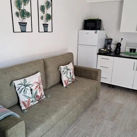 Casinha Da Palmeira Vakantiehuis *