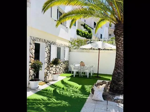 Casinha Da Palmeira