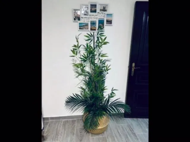 Ferienhaus Casinha Da Palmeira *