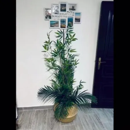 Сasa de vacaciones Casinha Da Palmeira *